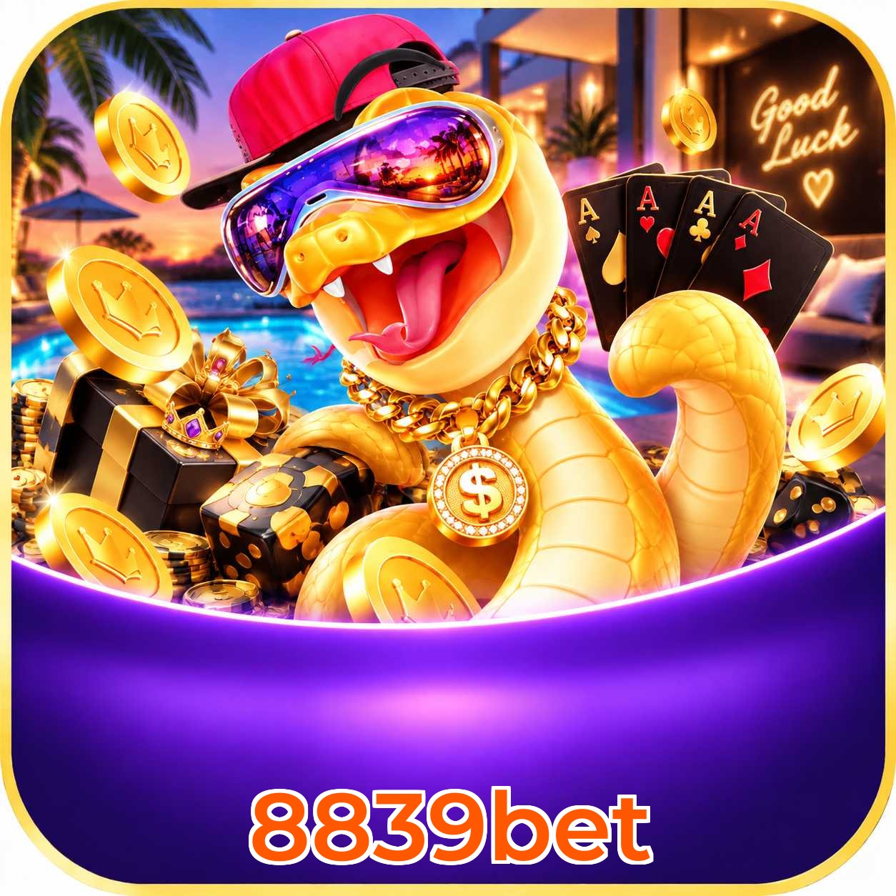 8839bet Live Casino Overview